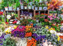 Load image into Gallery viewer, Flower Market, France - 500 Piece Puzzle by Ravensburger