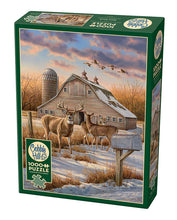 Load image into Gallery viewer, Rural Route - 1000 Piece Puzzle by Cobble Hill