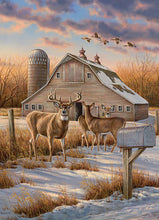 Load image into Gallery viewer, Rural Route - 1000 Piece Puzzle by Cobble Hill