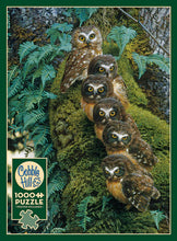 Load image into Gallery viewer, Family Tree - 1000 Piece Puzzle by Cobble Hill