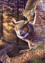 Load image into Gallery viewer, Evening Hunter - 1000 Piece Puzzle by Cobble Hill