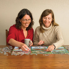 Load image into Gallery viewer, Squirrels on Vacation - 1000 Piece Puzzle by Cobble Hill