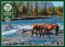 Load image into Gallery viewer, On The Rocks - 1000 Piece Puzzle by Cobble Hill