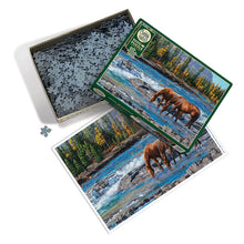 Load image into Gallery viewer, On The Rocks - 1000 Piece Puzzle by Cobble Hill