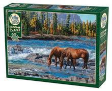 Load image into Gallery viewer, On The Rocks - 1000 Piece Puzzle by Cobble Hill