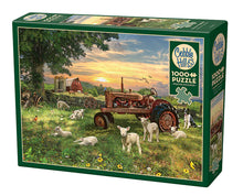 Load image into Gallery viewer, Field At Sunrise - 1000 Piece Puzzle by Cobble Hill