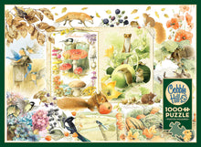 Load image into Gallery viewer, Nature Journal: Autumn - 1000 Piece Puzzle by Cobble Hill