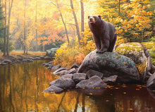 Load image into Gallery viewer, Black Bear Pond - 1000 Piece Puzzle by Cobble Hill