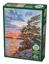 Load image into Gallery viewer, Windswept - 1000 Piece Puzze by Cobble Hill