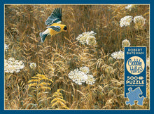 Load image into Gallery viewer, Queen Anne's Lace And American Goldfinch - 500 Piece Puzzle by Cobble Hill