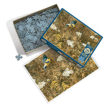 Load image into Gallery viewer, Queen Anne's Lace And American Goldfinch - 500 Piece Puzzle by Cobble Hill