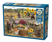 Load image into Gallery viewer, Choc Wagon - 500 Piece Puzzle by Cobble Hill