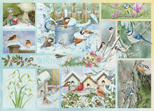 Load image into Gallery viewer, Garden Birds in Winter - 500 Piece Puzzle by Cobble Hill