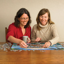 Load image into Gallery viewer, Splash Zone - 500 Piece Puzzle by Cobble Hill