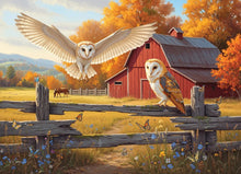 Load image into Gallery viewer, Barn and Owls - 500 Piece Puzzle by Cobble Hill