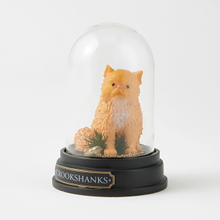 Load image into Gallery viewer, Crookshanks Cloche WizardingWorld of Harry Potter