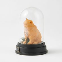 Load image into Gallery viewer, Crookshanks Cloche WizardingWorld of Harry Potter