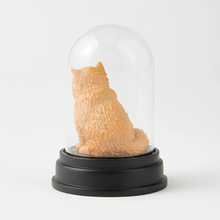 Load image into Gallery viewer, Crookshanks Cloche WizardingWorld of Harry Potter