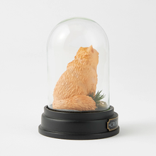 Load image into Gallery viewer, Crookshanks Cloche WizardingWorld of Harry Potter