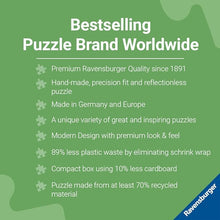 Load image into Gallery viewer, The Shell Collector - 1000 Piece Puzzle by Ravensburger