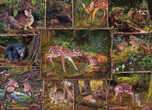 Load image into Gallery viewer, Into the Woods (Family) - 350 Piece Puzzle by Cobble Hill