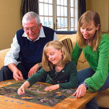 Load image into Gallery viewer, Santa's Flyby (Family) - 350 Piece Puzzle by Cobble Hill
