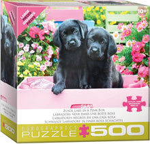 Load image into Gallery viewer, Black Labs in Pink Box - 500 Piece Puzzle by Eurographics