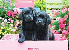Load image into Gallery viewer, Black Labs in Pink Box - 500 Piece Puzzle by Eurographics