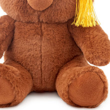 Load image into Gallery viewer, 2025 Graduation Bear Plush, 8"