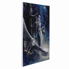 Load image into Gallery viewer, Crystal Art -Mounted Kit -Midnight Messenger - Large - Hallmark Timmins