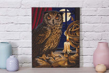 Load image into Gallery viewer, Crystal Art - Mounted Kit - The Astrologer Owl - Large - Hallmark Timmins