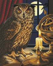 Load image into Gallery viewer, Crystal Art - Mounted Kit - The Astrologer Owl - Large - Hallmark Timmins