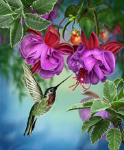 Load image into Gallery viewer, Crystal Art - Mounted Kit - Hummingbird Large - Hallmark Timmins