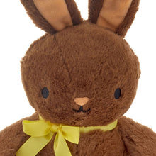 Load image into Gallery viewer, Chocolate-Scented Easter Bunny Plush, 7"