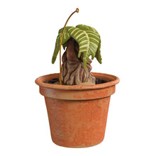Load image into Gallery viewer, Harry Potter™ Mandrake™ Ornament With Sound