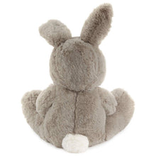 Load image into Gallery viewer, Big and Little Bunnies Plush, Set of 2