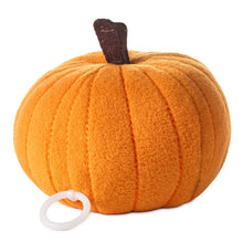 Load image into Gallery viewer, Zip-Along Jack-o'-Lantern Plush Toy