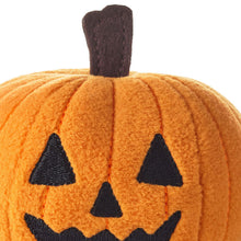Load image into Gallery viewer, Zip-Along Jack-o'-Lantern Plush Toy