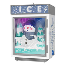 Load image into Gallery viewer, Just Chillin' Musical Ornament With Light - Hallmark Timmins