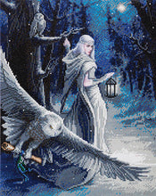 Load image into Gallery viewer, Crystal Art -Mounted Kit -Midnight Messenger - Large - Hallmark Timmins