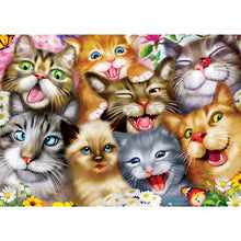 Load image into Gallery viewer, Selfies - Purrfect Portraits 500 Piece Puzzle by Master Pieces - Hallmark Timmins