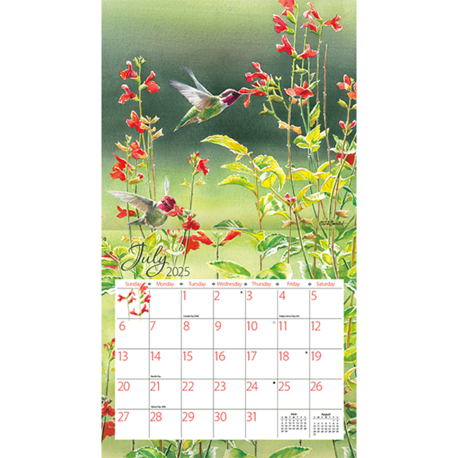 Hummingbird 2025 Calendar Images References :