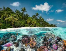Load image into Gallery viewer, A Dive in the Maldives - 2000 Piece Puzzle by Ravensburger