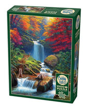 Load image into Gallery viewer, Mystic Falls In Autumn - 1000 Piece Puzzle by Cobble Hill
