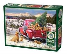Load image into Gallery viewer, Family Outing - 1000 Piece Puzzle by Cobble Hill