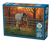 Load image into Gallery viewer, Quiet Time - 500 Piece Puzzle by Cobble Hill - Hallmark Timmins