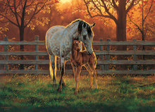 Load image into Gallery viewer, Quiet Time - 500 Piece Puzzle by Cobble Hill - Hallmark Timmins