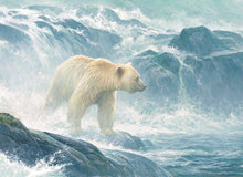 Load image into Gallery viewer, Salmon Watch - Spirit Bear - 500 Piece Puzzle by Cobble Hill