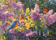 Load image into Gallery viewer, Spring Interlude - 500 Piece Puzzle by Cobble Hill - Hallmark Timmins