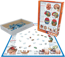 Load image into Gallery viewer, The Brain - 1000 Piece Puzzle by EuroGraphics - Hallmark Timmins